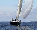 ORCi2 617